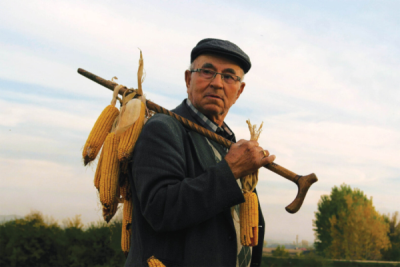 8. TARIM VE İNSAN FOTOĞRAF YARIŞMASI - Hamza TANRISEVEN