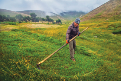 8. TARIM VE İNSAN FOTOĞRAF YARIŞMASI - Hasan UÇAR