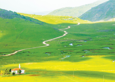 8. TARIM VE İNSAN FOTOĞRAF YARIŞMASI - Kenan DEMİR