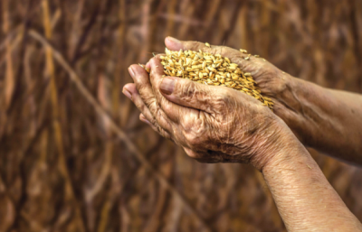 9. TARIM VE İNSAN FOTOĞRAF YARIŞMASI - Gürsel Egemen ERGİN