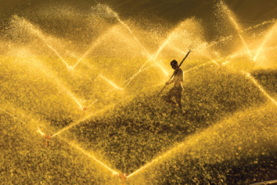 9. TARIM VE İNSAN FOTOĞRAF YARIŞMASI - İrfan ÇİMEN