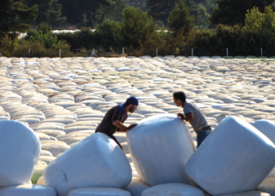 9. TARIM VE İNSAN FOTOĞRAF YARIŞMASI - Hatice EREN