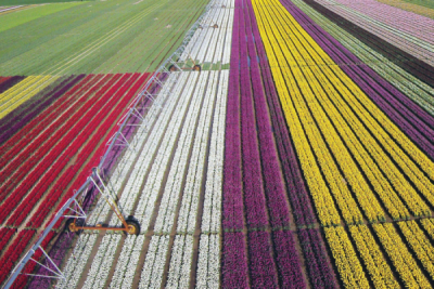 9. TARIM VE İNSAN FOTOĞRAF YARIŞMASI - Yusuf GEZİCİ