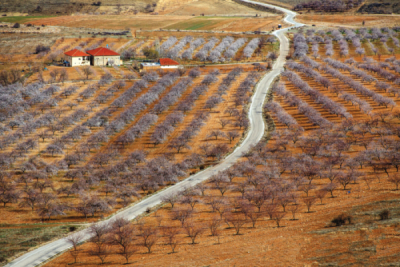 9. TARIM VE İNSAN FOTOĞRAF YARIŞMASI - Bayram AYHAN