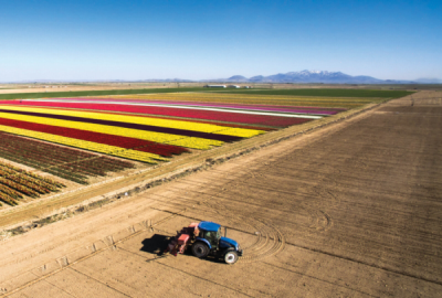9. TARIM VE İNSAN FOTOĞRAF YARIŞMASI - Hakan GÜMÜŞ