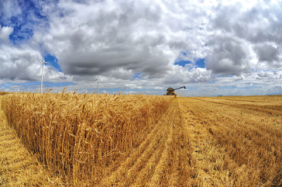 9. TARIM VE İNSAN FOTOĞRAF YARIŞMASI - Halil İbrahim ÜZMEZOĞLU