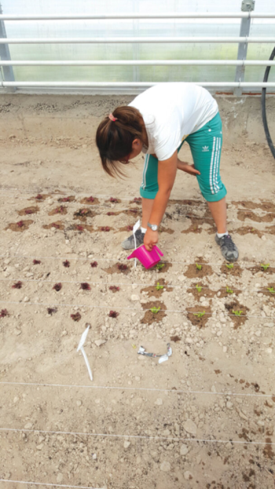 9. TARIM VE İNSAN FOTOĞRAF YARIŞMASI - Havva Eda ÜSTÜNTAŞ