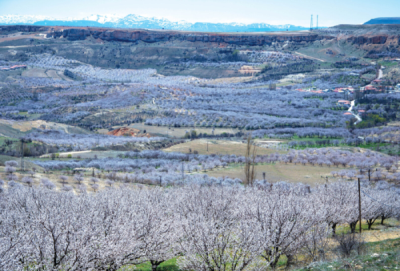 9. TARIM VE İNSAN FOTOĞRAF YARIŞMASI - Hülya ARSLAN