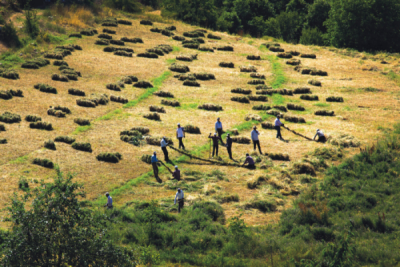 9. TARIM VE İNSAN FOTOĞRAF YARIŞMASI - İbrahim AYSÜNDÜ