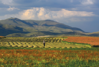 9. TARIM VE İNSAN FOTOĞRAF YARIŞMASI - İhsan İLZE