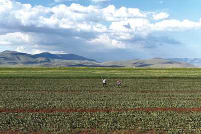 9. TARIM VE İNSAN FOTOĞRAF YARIŞMASI - İhsan İLZE