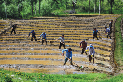 9. TARIM VE İNSAN FOTOĞRAF YARIŞMASI - İskender SELÇUK