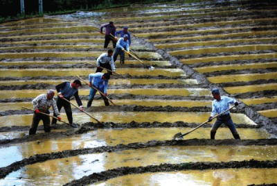 9. TARIM VE İNSAN FOTOĞRAF YARIŞMASI - İskender SELÇUK
