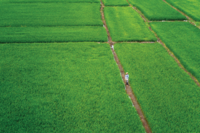 9. TARIM VE İNSAN FOTOĞRAF YARIŞMASI - Mehmet ASLAN