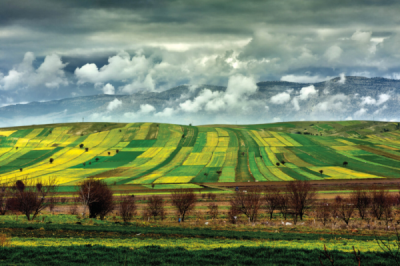 9. TARIM VE İNSAN FOTOĞRAF YARIŞMASI - Mehmet ÇAKIR