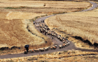 9. TARIM VE İNSAN FOTOĞRAF YARIŞMASI - Mehmet Şah DENİZ