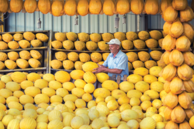 9. TARIM VE İNSAN FOTOĞRAF YARIŞMASI - Murat BAKMAZ
