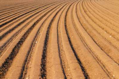 9. TARIM VE İNSAN FOTOĞRAF YARIŞMASI - Mustafa YENER
