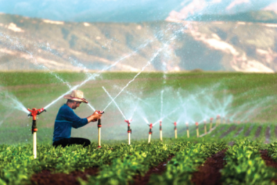 9. TARIM VE İNSAN FOTOĞRAF YARIŞMASI - Nuray APARI