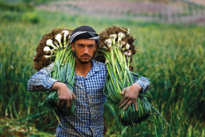 9. TARIM VE İNSAN FOTOĞRAF YARIŞMASI - Ömer ŞAHİN