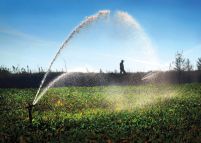 9. TARIM VE İNSAN FOTOĞRAF YARIŞMASI - Sabri ALTIN