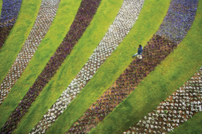 9. TARIM VE İNSAN FOTOĞRAF YARIŞMASI - Seyit KONYALI 