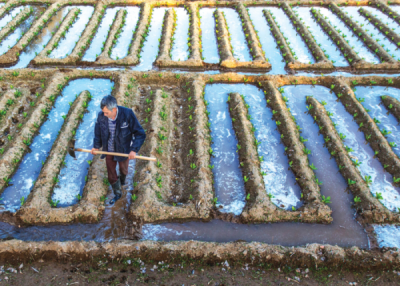 9. TARIM VE İNSAN FOTOĞRAF YARIŞMASI - Şadiye YARALI