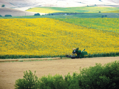 9. TARIM VE İNSAN FOTOĞRAF YARIŞMASI - Tahsin TOPÇU