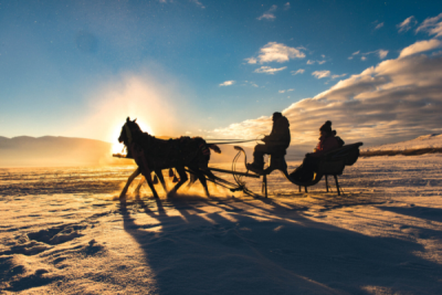 9. TARIM VE İNSAN FOTOĞRAF YARIŞMASI - Ufuk SEFEROĞLU