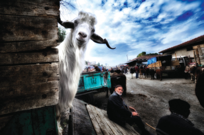 9. TARIM VE İNSAN FOTOĞRAF YARIŞMASI - Ümit KATAKE