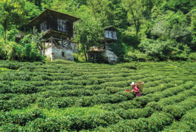 9. TARIM VE İNSAN FOTOĞRAF YARIŞMASI - Yusuf YILMAZ