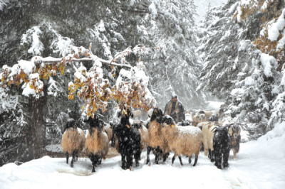 9. TARIM VE İNSAN FOTOĞRAF YARIŞMASI - Ahmet Fatih SÖNMEZ