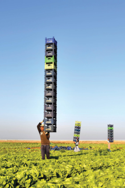 9. TARIM VE İNSAN FOTOĞRAF YARIŞMASI - Ali ASLAN