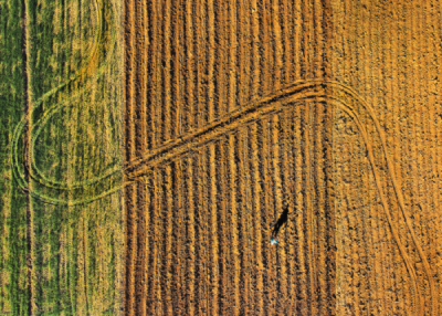 9. TARIM VE İNSAN FOTOĞRAF YARIŞMASI - Ali Fuat ALTIN