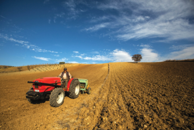 9. TARIM VE İNSAN FOTOĞRAF YARIŞMASI - Aygül ÖZTÜRK