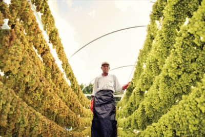 9. TARIM VE İNSAN FOTOĞRAF YARIŞMASI - Burak BAYBAŞ