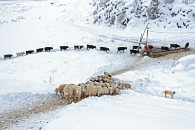 9. TARIM VE İNSAN FOTOĞRAF YARIŞMASI - Doğan BİLİCİ