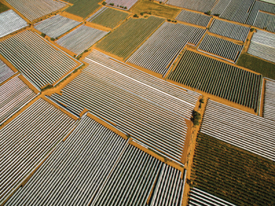 9. TARIM VE İNSAN FOTOĞRAF YARIŞMASI - Erdem Arif YİĞİT