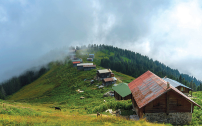 9. TARIM VE İNSAN FOTOĞRAF YARIŞMASI - Fehime ARI