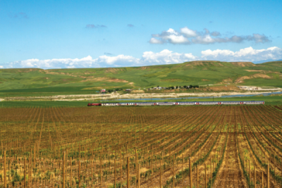9. TARIM VE İNSAN FOTOĞRAF YARIŞMASI - Fırat KIZTANRI