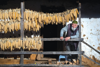 9. TARIM VE İNSAN FOTOĞRAF YARIŞMASI - Ahmet ÇETİNTAŞ