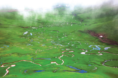 9. TARIM VE İNSAN FOTOĞRAF YARIŞMASI - Ahmet DURMAZ